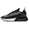 Nike Air Max 2090 Черный Вольф Грей Антрацит CW7306-001