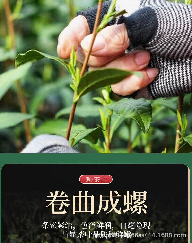 Премиум Duyun Maojian 2024 Новый урожай High Mountain Fresh Spring Tips