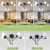 Canmeijia Modern Chandelier Nordic Decor Lamp Celing Light 6 Head Pendant Lights Hanging Light For Living Dining Room