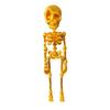 1/6Pcs Poseable Skeleton Refrigerator Magnet Halloween 3D Movable Joints Skeleton Articulated Skeleton Magnetic Fridge Decoration Ornament