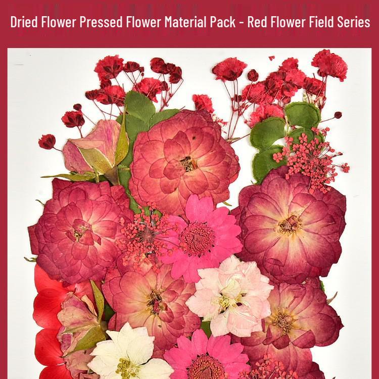 Autumn Dried Flower Bookmark Kit: Transparent Leaf Specimen with Lamination Film Stickers