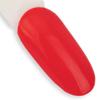 Lakier Hybrydowy Led/Uv Gel Polish Ntn Premium After Midnight Collection Nr 66 5 G