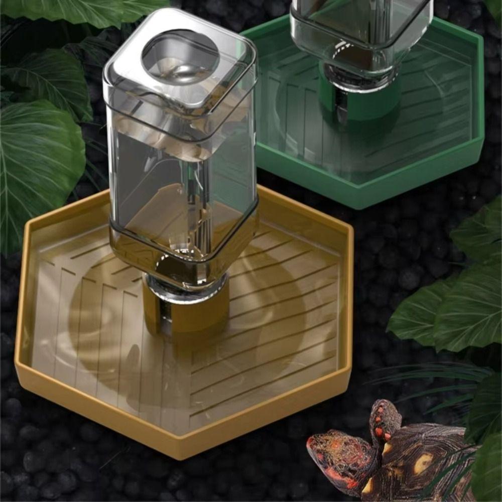 Stable Turtle Water Bowl Detachable Automatic Water Dispenser Lizard Food Feeder Feeding Box