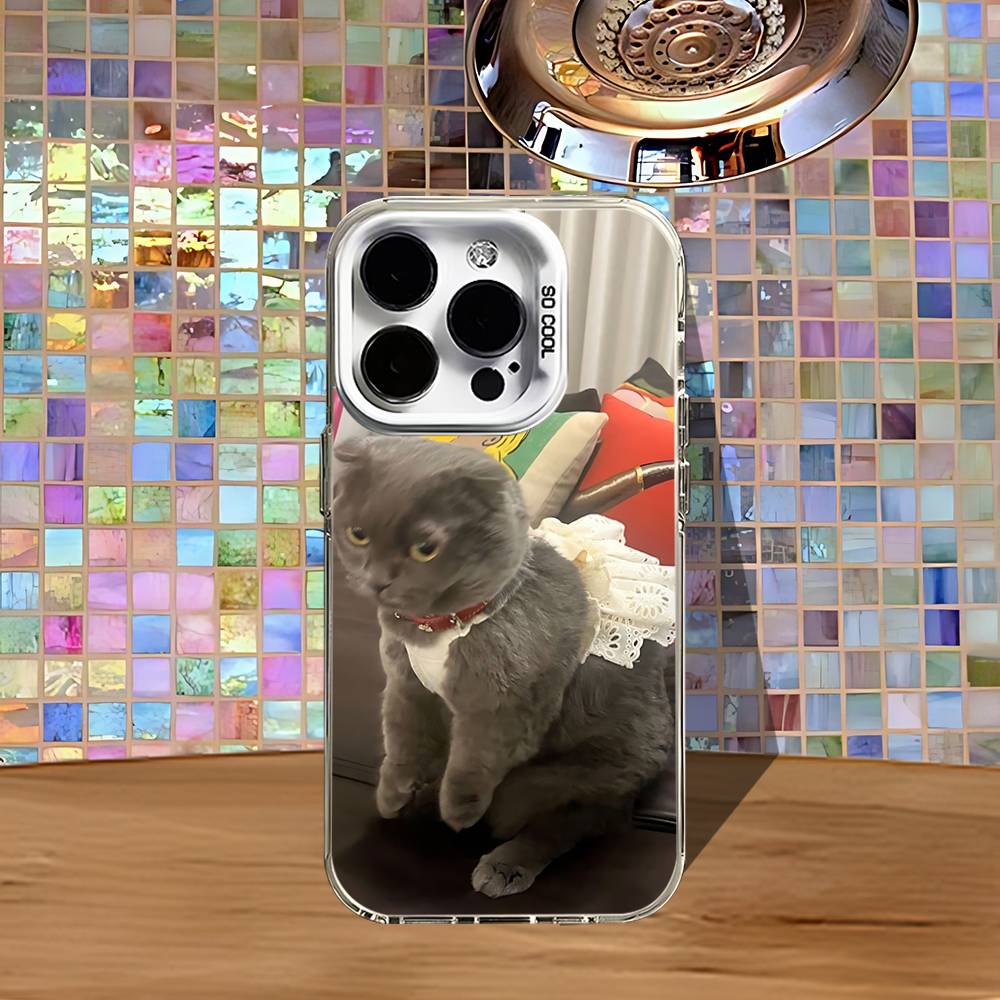 G-Gdragon Z-Zoa Кошка Модный Чехол для Телефона Для iPhone 16,15,14,13,12,11,Pro,XS,Max,Plus,Mini,SE4,E Белый Матовый Ударопрочный Чехол