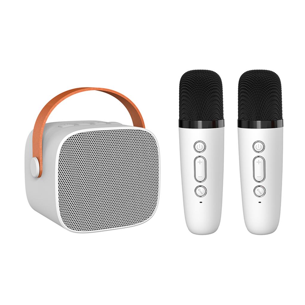 Мини-караоке-динамик BT для караоке с беспроводными микрофонами для домашней вечеринки для взрослых и детей