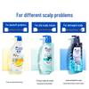 Head & Shoulders Refreshing Oil Control Anti-Dandruff Shampoo