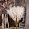 Household for Wedding Party Decor Pampas Bouquet Pampas Grass Artificial Flowers Fake Reeds