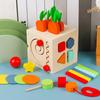 Wooden Montessori Toy Educational Toys, Sensory Preschool Learning Toys Color Shape Sorter for