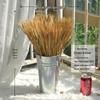 Natural Wheat Ear Dried Flower Bouquet: Barley Decor for Living Room, Bedroom, or Shop