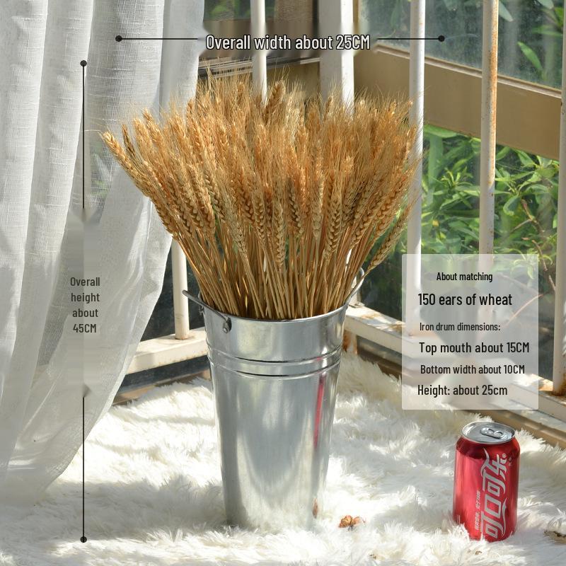 Natural Wheat Ear Dried Flower Bouquet: Barley Decor for Living Room, Bedroom, or Shop