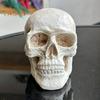 Хэллоуин Череп Фигурка Украшение для костра Жуткая тыква Керамическая Статуя Скульптура Для дома и улицы Сад Домашний Офис Настольное Украшение
