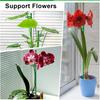 Plant Stakes with Clips Extendable Orchid Support Stake Gardening Plant