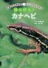 Визуальный путеводитель по японским существам Канахеби Хаккен!