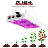 LED Plant Lamp Full Spectrum Quantum Plate Plant Growth Lamp Waterproof High-power Seedling Lamp