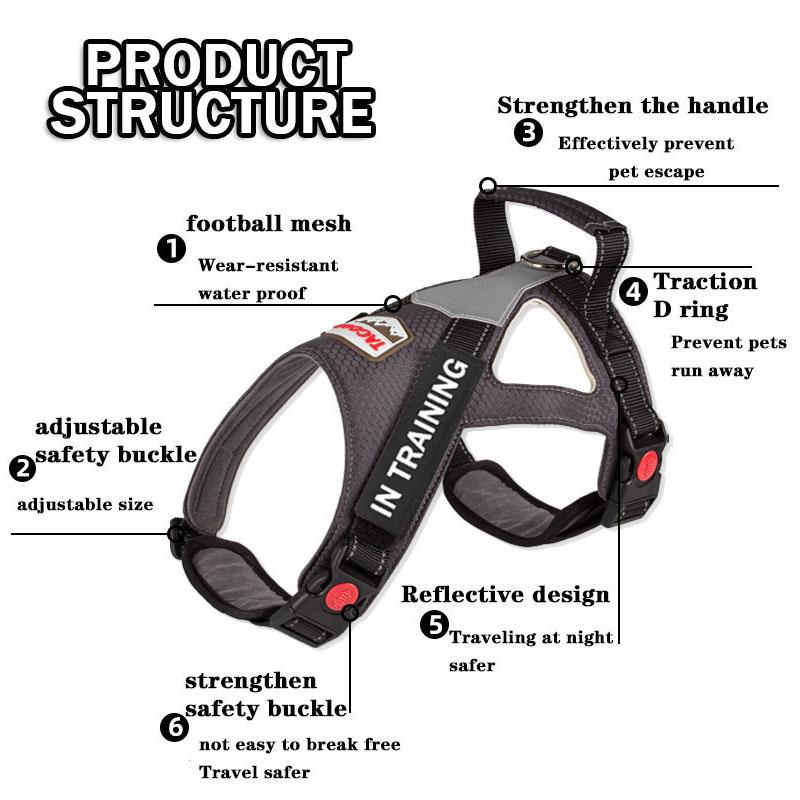 Ночью светоотражающая настраиваемая шлейка для собак с идентификатором и именем поводок для собак-лабрадоров шлейка для больших и маленьких собак