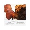 Crème apaisante - ORIGINS - Mega-Mushroom - 1.7 oz - Hypoallergénique - Tous types de peau