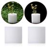 10/50pcs Hot sell Planting Cultivation Flower Pots Seed Trays Soilless Hydroponic  Nursery Sponge