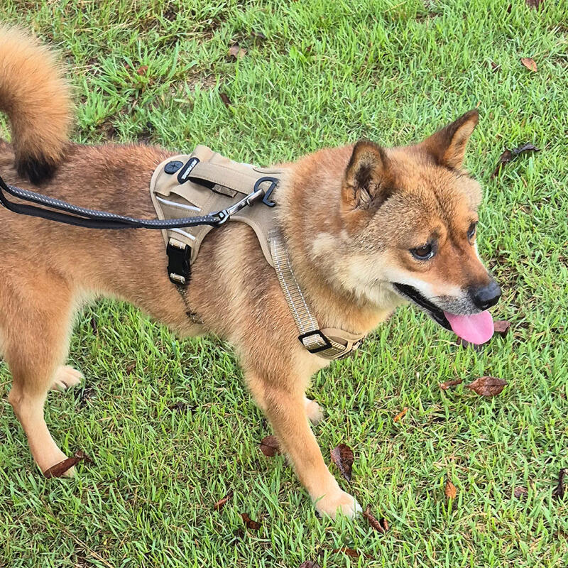 Шлейка с одним карманом для крупных собак (Коричневый XL)