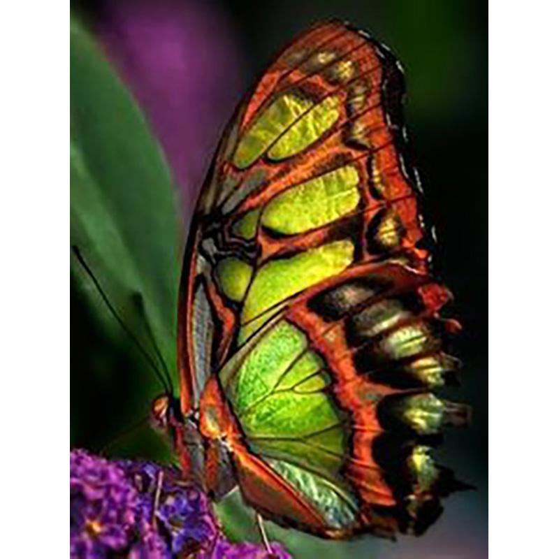 DIY 5D алмазная живопись Бабочка полная круглая дрель цветочная Алмазная вышивка крестиком мозаика стены книги по искусству домашний декор подарок