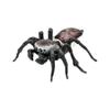 Japanese Genuine  Twisted Egg Blind Box Biological Picture Book Series Simulation Insect 1:1 Spider Mantis Bumblebee