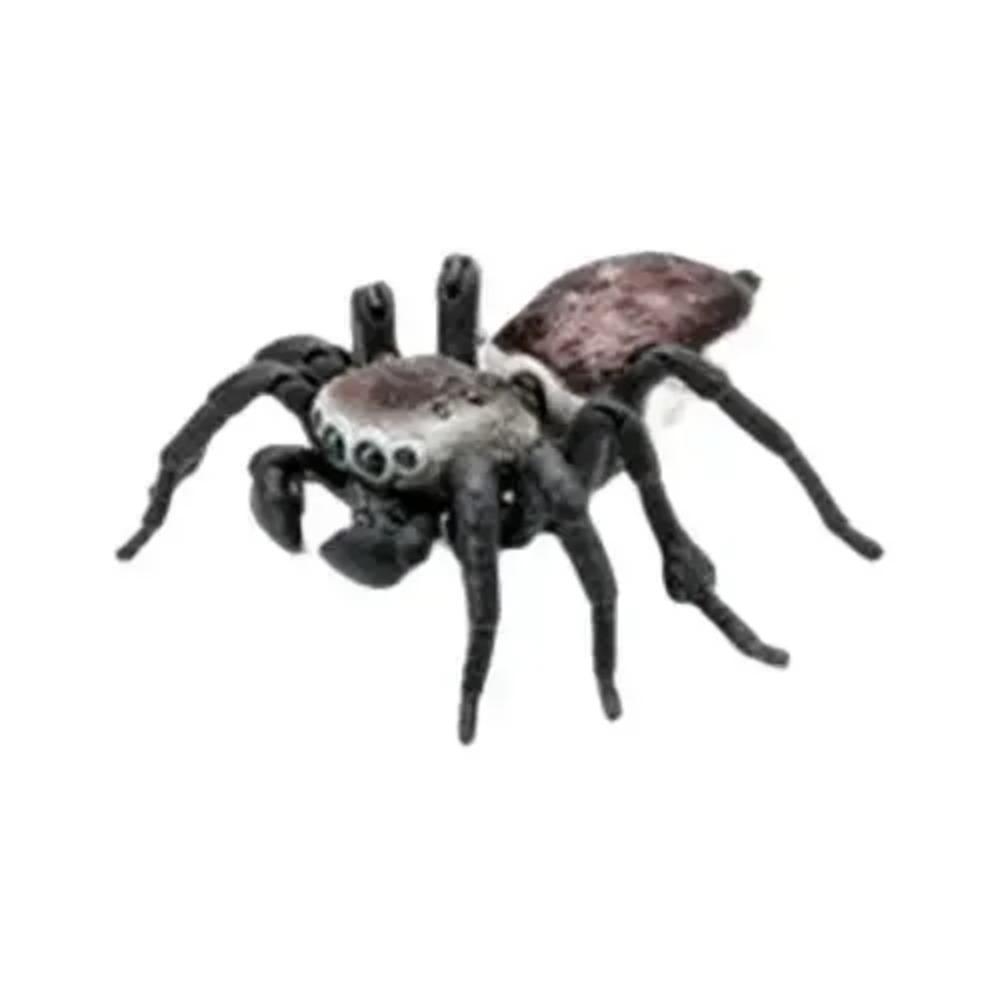 Japanese Genuine Twisted Egg Blind Box Biological Picture Book Series Simulation Insect 1:1 Spider Mantis Bumblebee