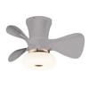 FS0021 AC220V Ceiling Fan with Lighting with Remote Control Positive Negative Rotation 3-Color
