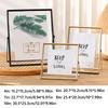 Acrylic Screen Picture Holder Gold Black Photo Display Nordic Metal Photo Frame  Plant Specimen