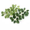20/50PCS Artificial Plants Wedding Decorative Flowers Wreaths Fake Roses Silk Leaves Arrangement Accessories Home Decor DIY Gift