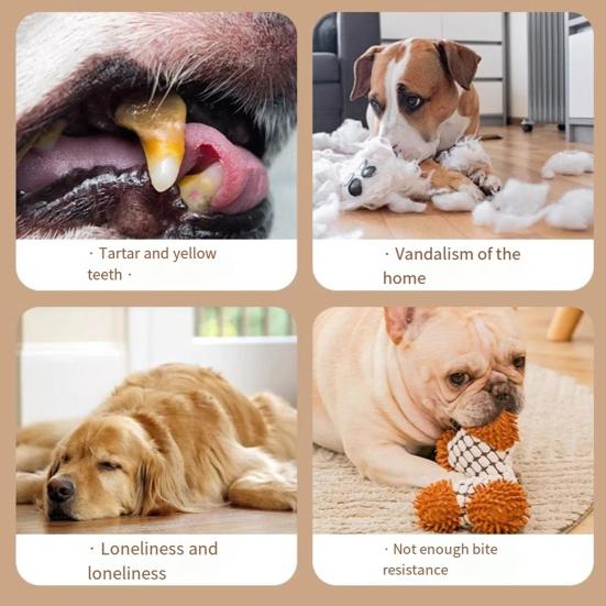 Dog Water Bottle Toy Interactive Dog Chew Toy Plastic Squeaky Bottle Teething Toy with Tennis Ball for Aggressive Chewers