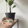 Садовый Миниатюрный Сладкий Домик Домик Цветочный Горшок DIY Горшки для Бонсай для Суккулентов Растений Внутреннее Наружное Настольное Украшение