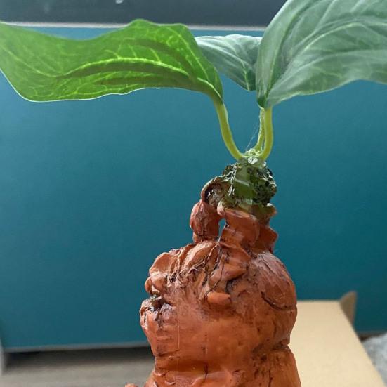 Мандрагора Статуя Смоляное Украшение Яркое Выражение Статуя Смоляная Украшение Домашнего Сада Смешной