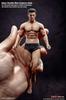 OBEST TBLeague Scale Male Muscular Action Figure with Seamless Body and Head 1/12 (PH2019-TM01A)