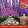 Artificial Wisteria Flower Vine for Ceiling or Window Decoration - Long String Simulation Plant