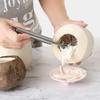 Coconut Meat Scraper Stainless Steel Coconut Planer Coconut Meat Planer Edible Coconut Meat Products Fish Scale Planer Kitchen Utensils