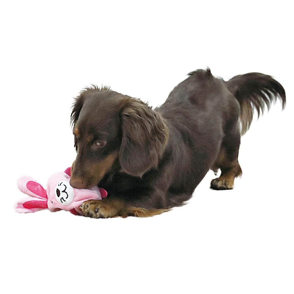 Doggyman Henyapi Rabbit