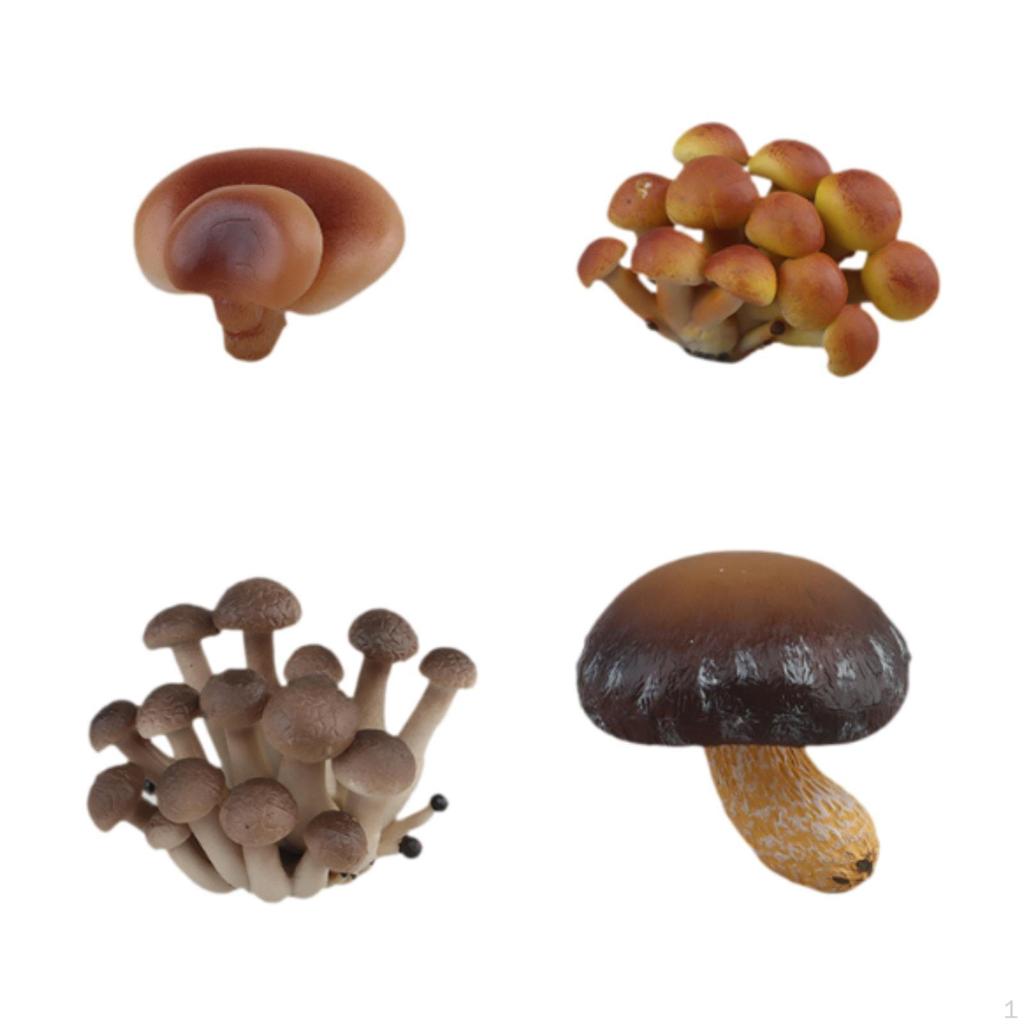 Children's Mushroom Development Stages Toy Set for Interactive Learning