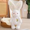 Annie Rabbit Plush Toy Stuffed Doll Cartoon Room Decorations Children Gifts