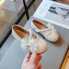 Children Mary Jane Shoes for Party Wedding Shows Girls Casual Shoes 2024 New Soft Four Seasons Elegant Princess Kids Shoes Soft