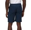 Regatta Highton Long Shorts