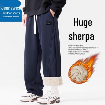 Мужские утепленные спортивные брюки Jeanswest прямого кроя для активного отдыха