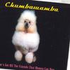 CD CHUMBAWAMBA - She's Got All The Friends That Mone 724388820622 EMI 2000 Germany Rock Used