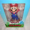 Super Mario Soft Figure Brothers Brand Unused USJ Limited