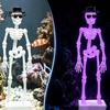 Подводный Танцующий Череп Декор Скелет Аквариумный Аэратор с Регулируемым Потоком Воздуха, 3D-Печатные Креативные Украшения для Аквариума, Движущиеся, Обогащающие Кислородом