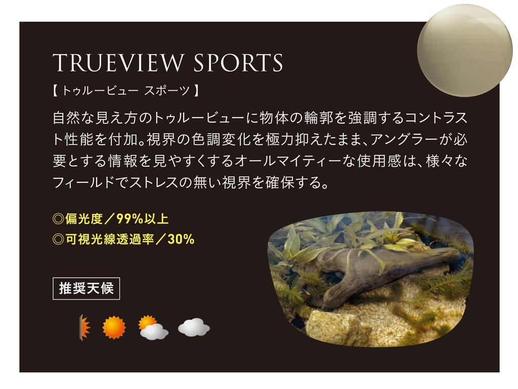 Солнцезащитные очки Zeque Polarized Devon Gunmetal TRUEVIEW SILVER MIRROR F-1982 SPORTS/