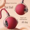 Electric Self-Play Cat & Dog Teaser Ball: Automatic Smart Toy for Entertainment and Energy Exercise