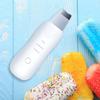 Deep Cleansing Ultrasonic Facial Scrubber with a USB Charger