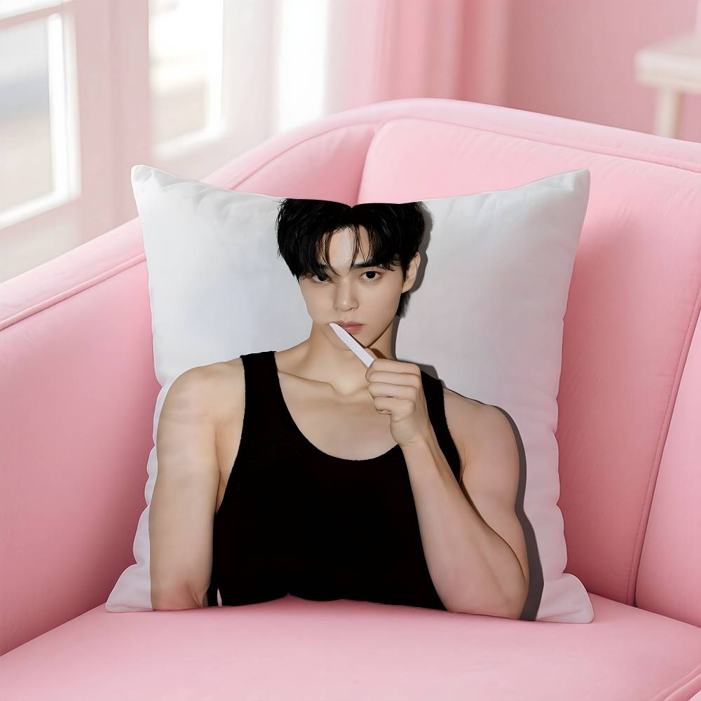 Korean s-Song k-Kang Pillow Case Pattern Printing Pillowcase Living Room Sofa Cushion Cover Bedroom Room Decor