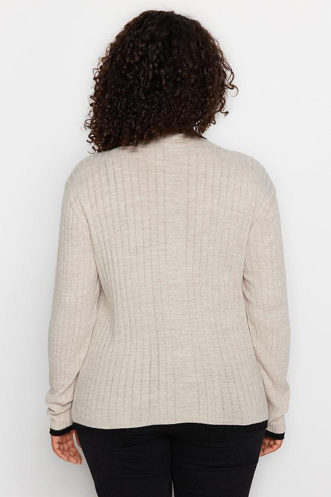 Women's Fashion New Plus Big Size Sweater Black Stripe Detailed Knitwear Sweater