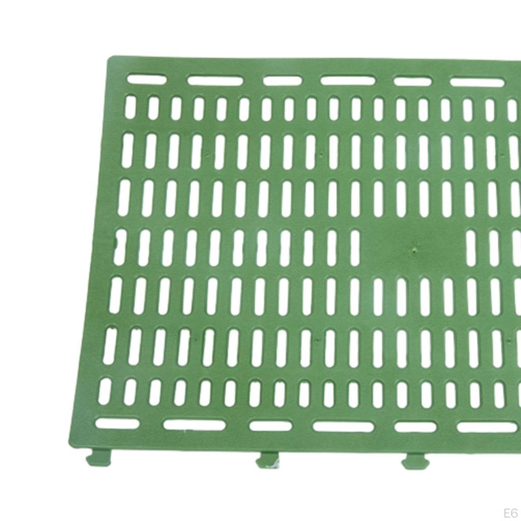 Сверхмощный ствол дерева : Максимальная защита растений