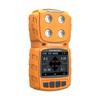 Eranntex MS104K 4-in-1 Multi-Gas Detector (CN version)